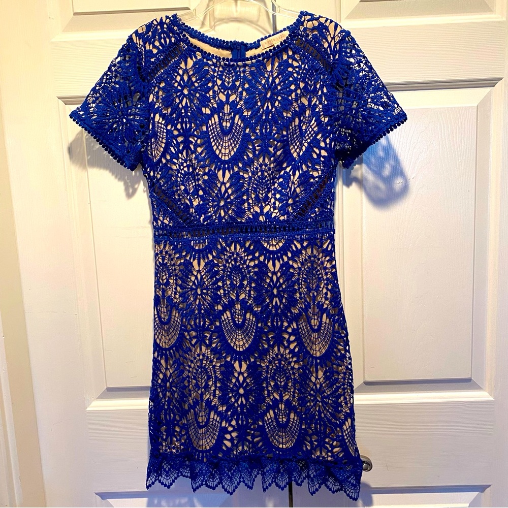 Gorgeous Lace Dress - Vici/Hidden Label